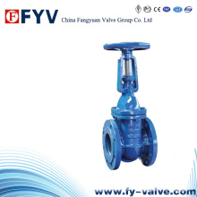 API 600 Cast Iron Solid Wedge Gate Valve